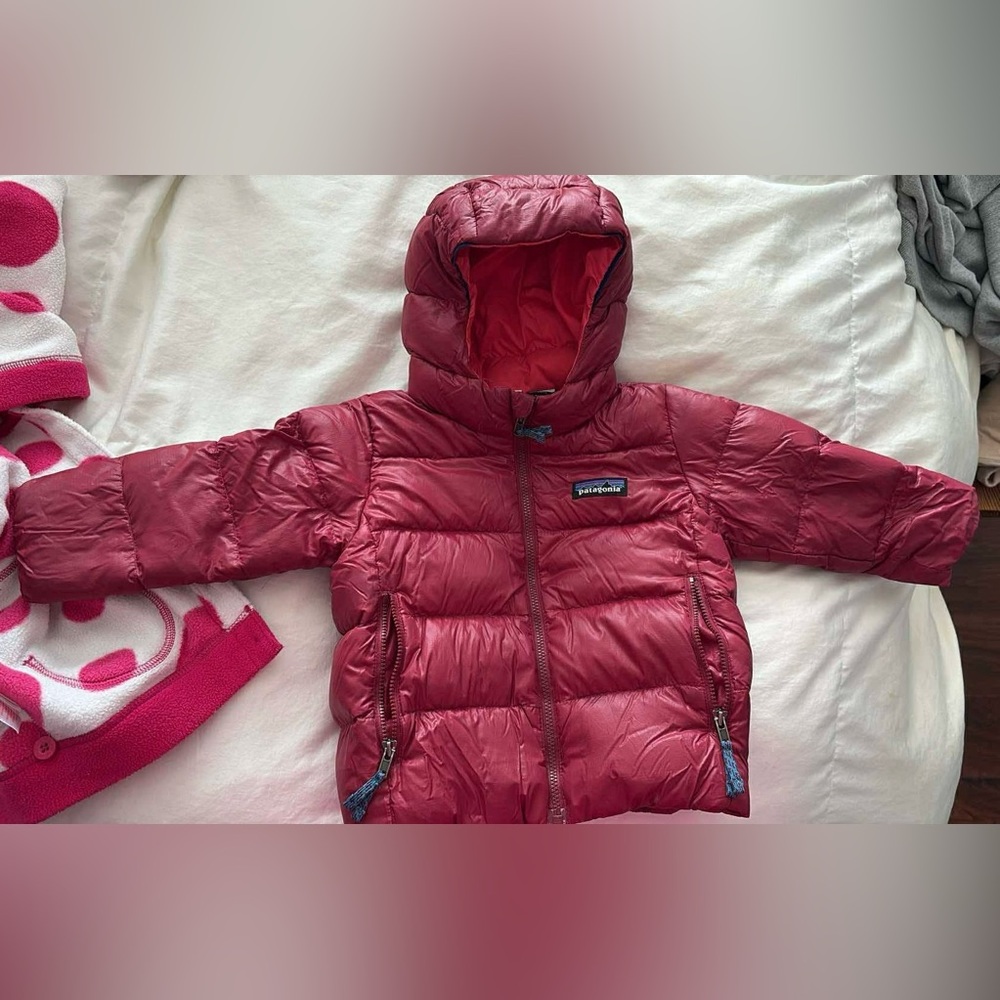 Patagonia Kids Hi-Loft Down Sweater Hoody: 12-18 Months